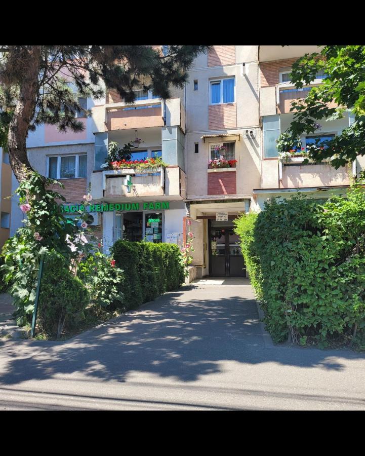 Hermann Apartment كلوج-نابوكا المظهر الخارجي الصورة