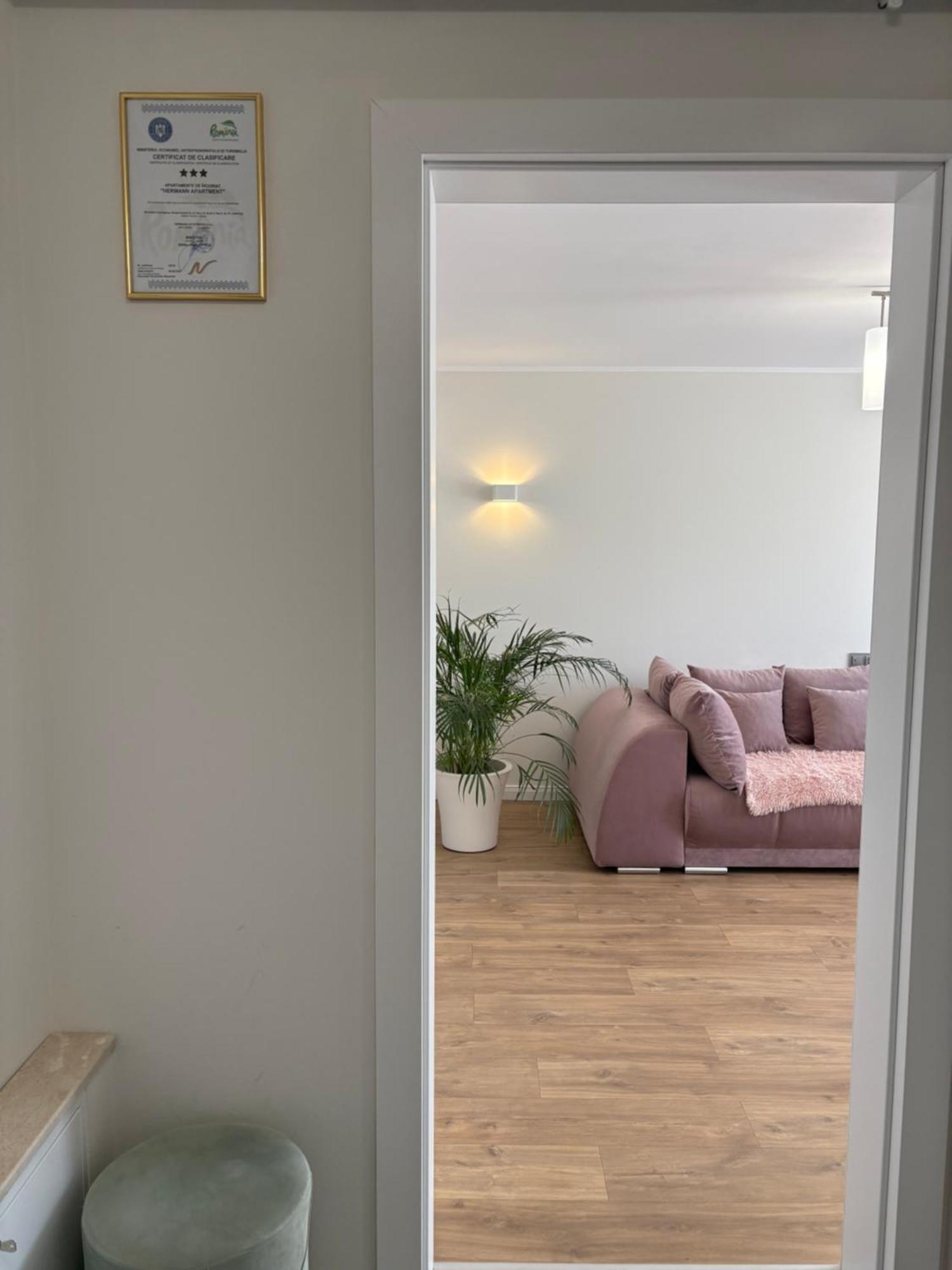 Hermann Apartment كلوج-نابوكا المظهر الخارجي الصورة